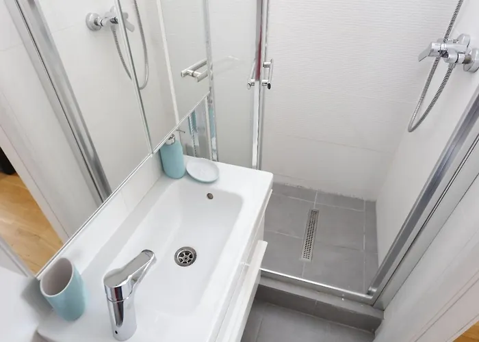 Athenaeum Wonderful View Flat بوخارست